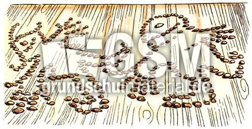 Max-Moritz-co 7 11.jpg